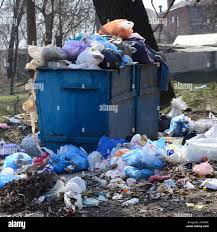 Best Hoarding Cleanup  in Elberton, GA